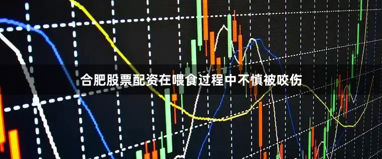 合肥股票配资在喂食过程中不慎被咬伤