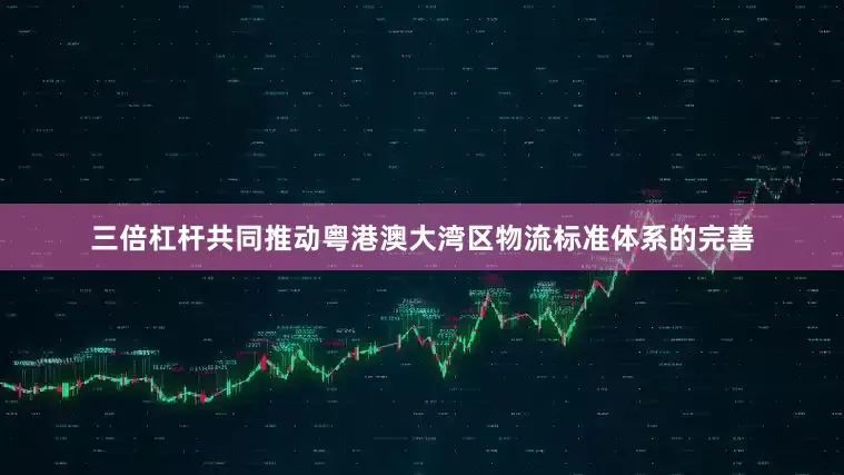 三倍杠杆共同推动粤港澳大湾区物流标准体系的完善