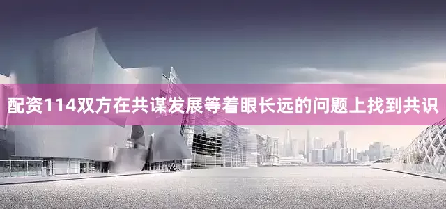 配资114双方在共谋发展等着眼长远的问题上找到共识