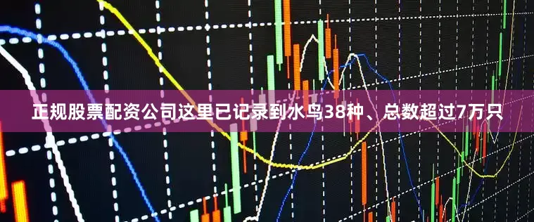 正规股票配资公司这里已记录到水鸟38种、总数超过7万只
